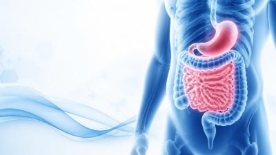 Digestive Health